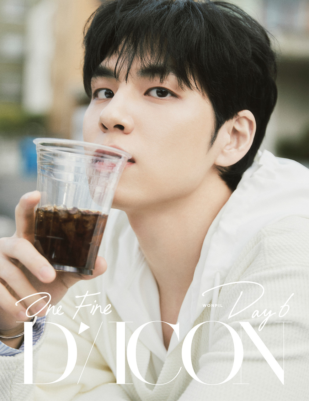 DAY6　ウォンピル⑪ 10CM ゲーム・おもちゃ・グッズ DAY6(デイシックス) デニマルズ